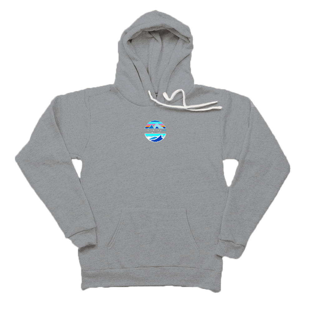 Patagonia Gulfstream Raglan Hoodie