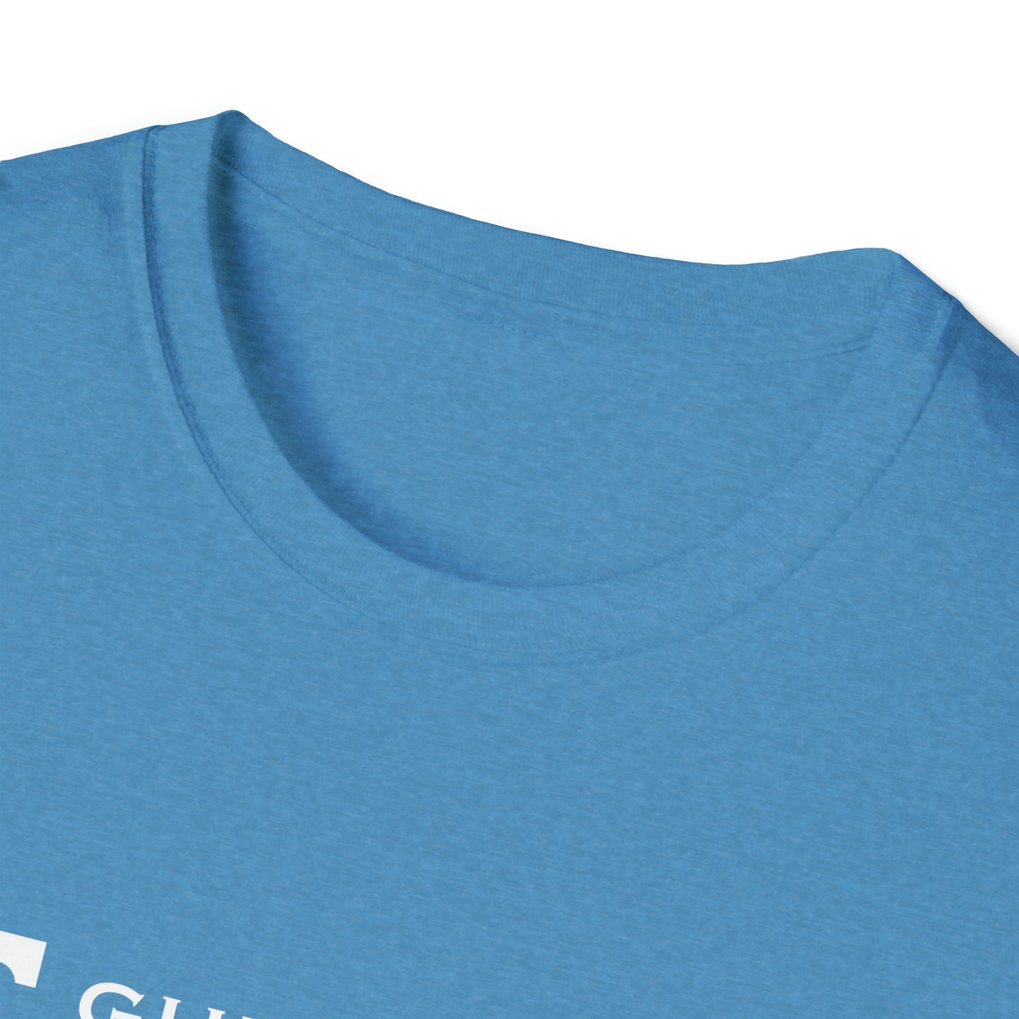 Gulfstream PickleVols Unisex Softstyle T-Shirt (Lulu)