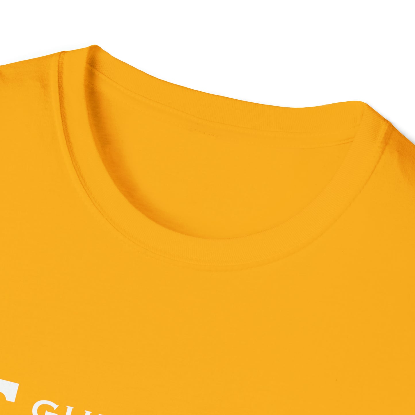 Gulfstream PickleVols Unisex Softstyle T-Shirt (Lulu)