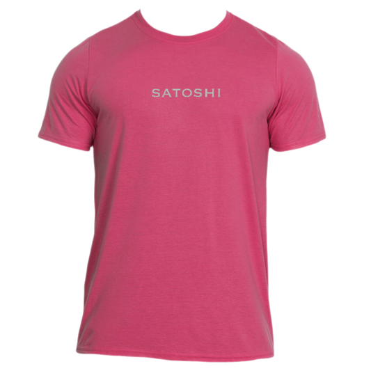 Satoshi Gulfstream BTC
