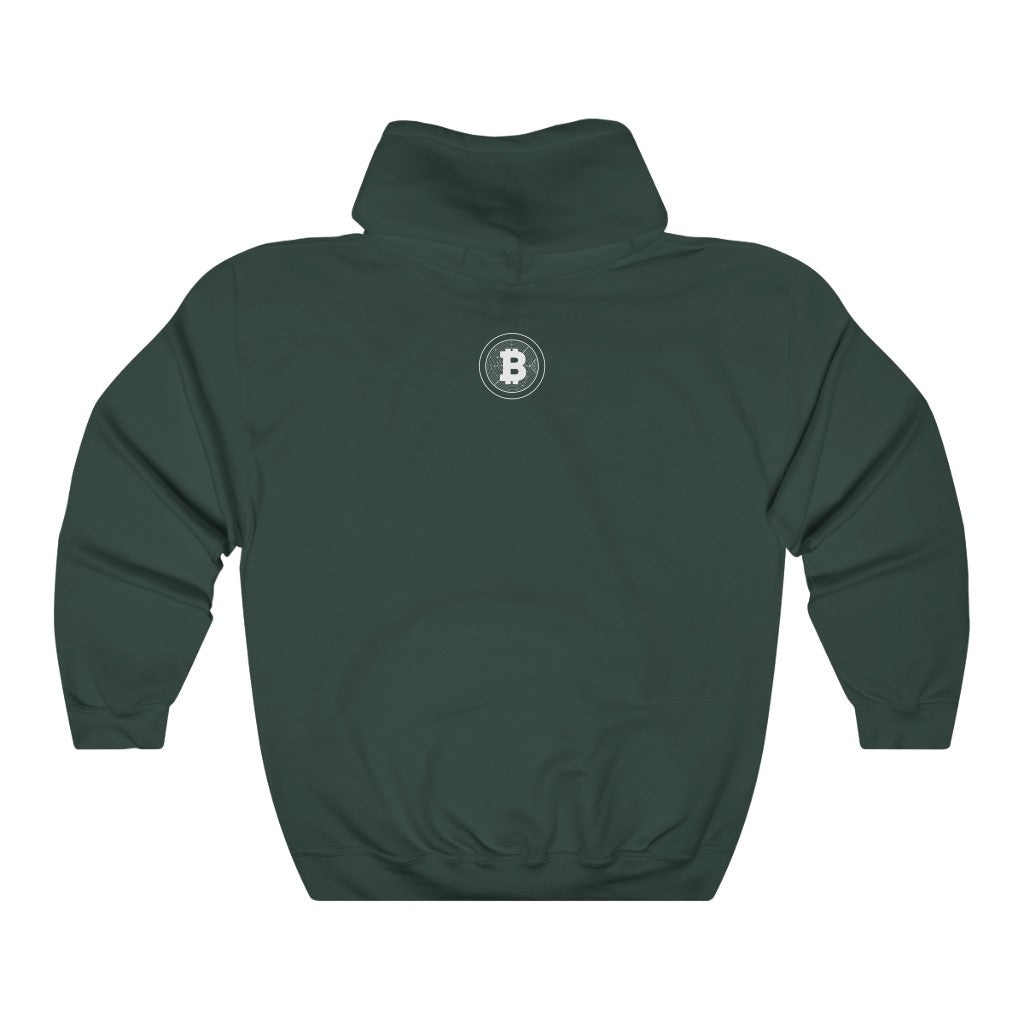 Gulfstream Crypto Unisex Heavy Blend™ Hooded Sweatshirt