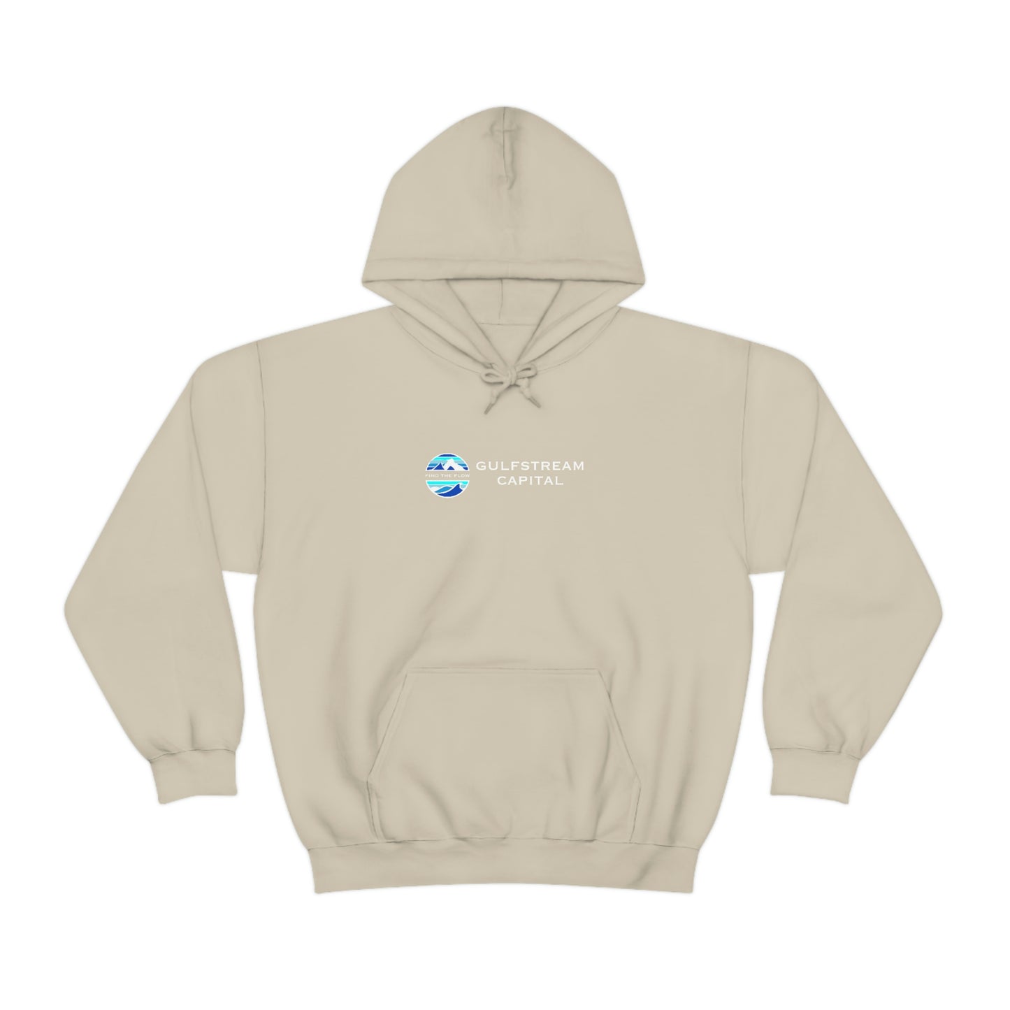 Patagonia Gulfstream Unisex Heavy Blend™ Hooded Sweatshirt 2.0
