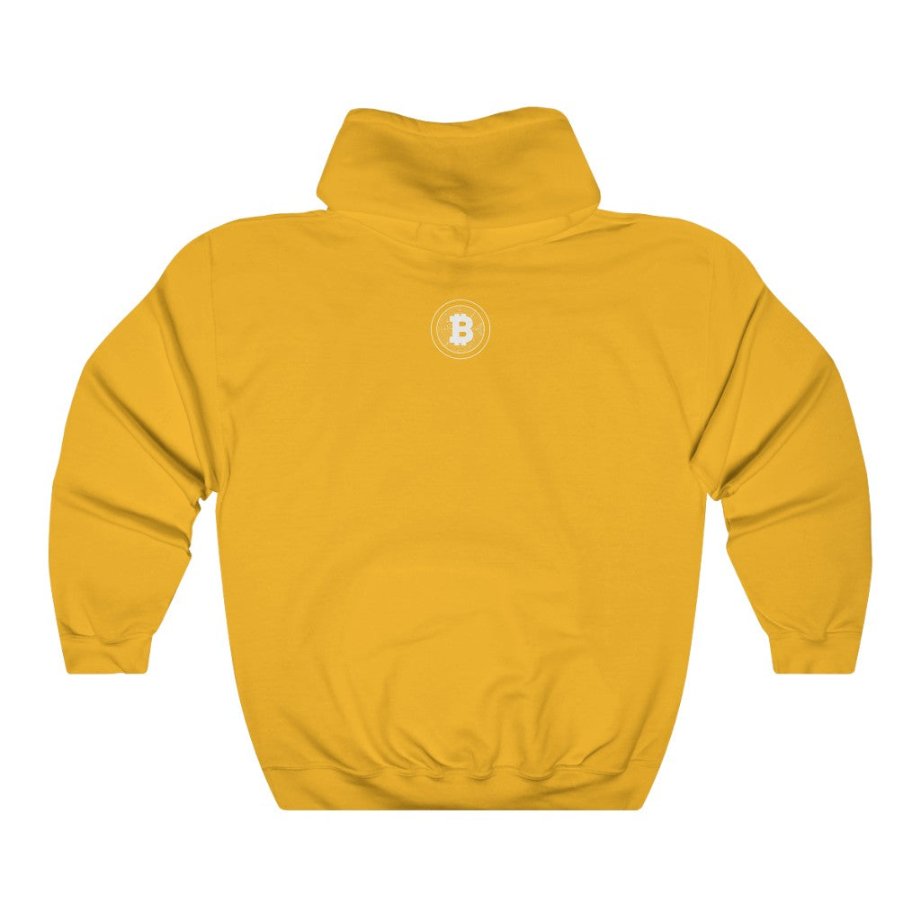 Gulfstream Crypto Unisex Heavy Blend™ Hooded Sweatshirt