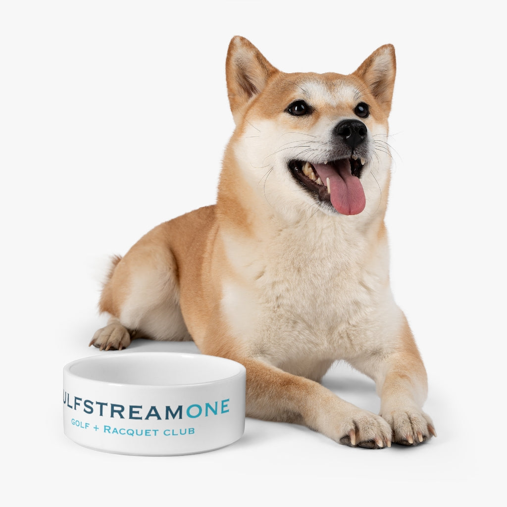 Gulfstream Pet Bowl