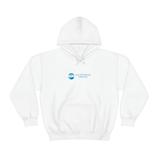 Patagonia Gulfstream Unisex Heavy Blend™ Hooded Sweatshirt 2.0
