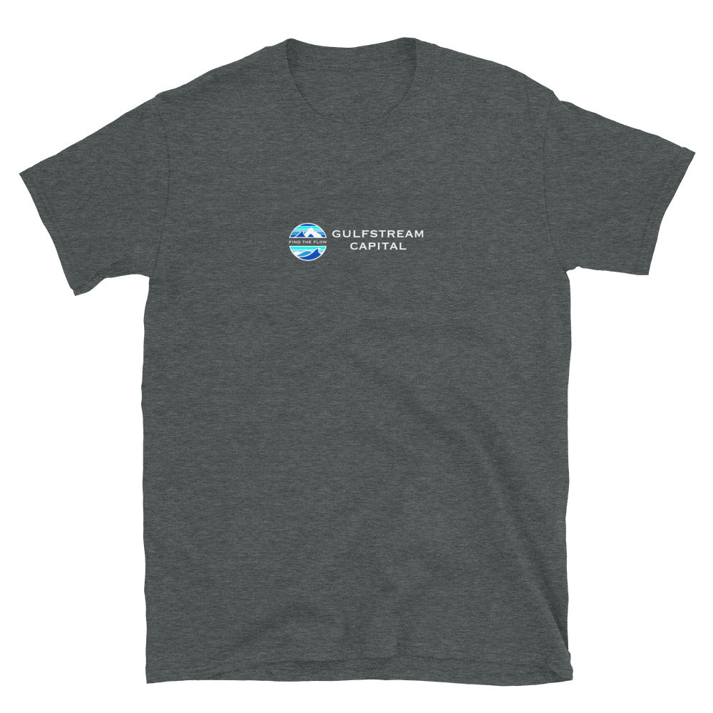Patagonia Gulfstream Gildan Soft Style Short-Sleeve Unisex T-Shirt