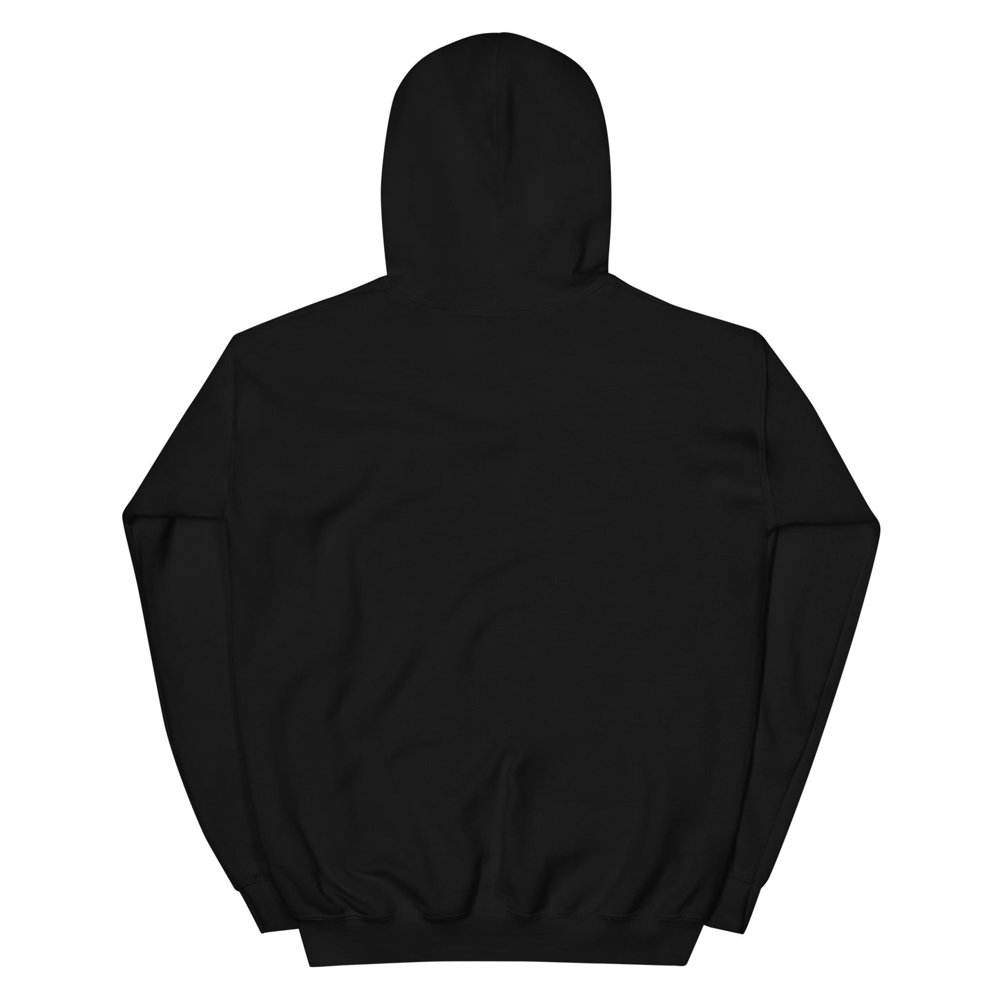 Gulfstream Capital Hoodie (Patagonia Sleeve)