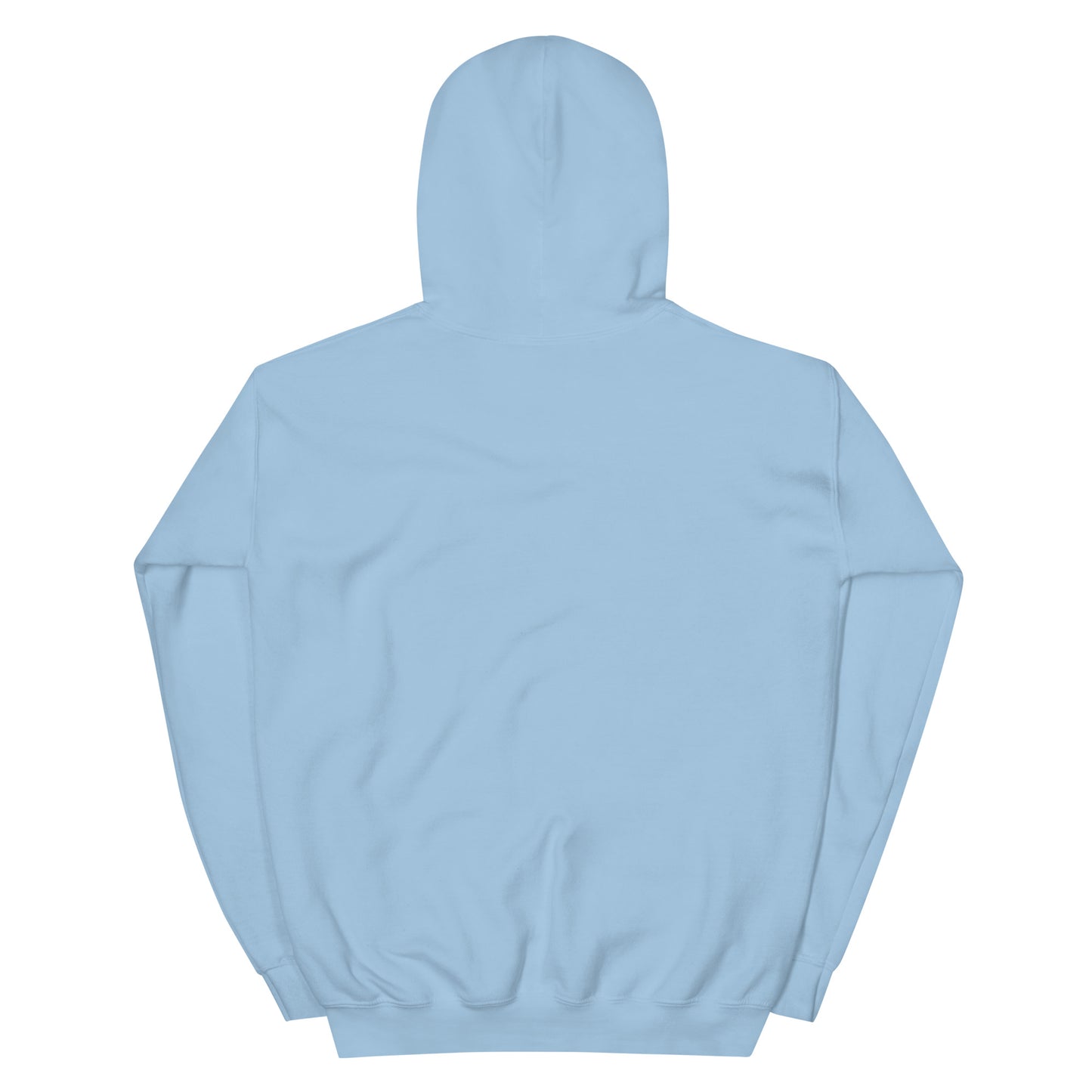 Gulfstream Capital Hoodie (Patagonia Sleeve)