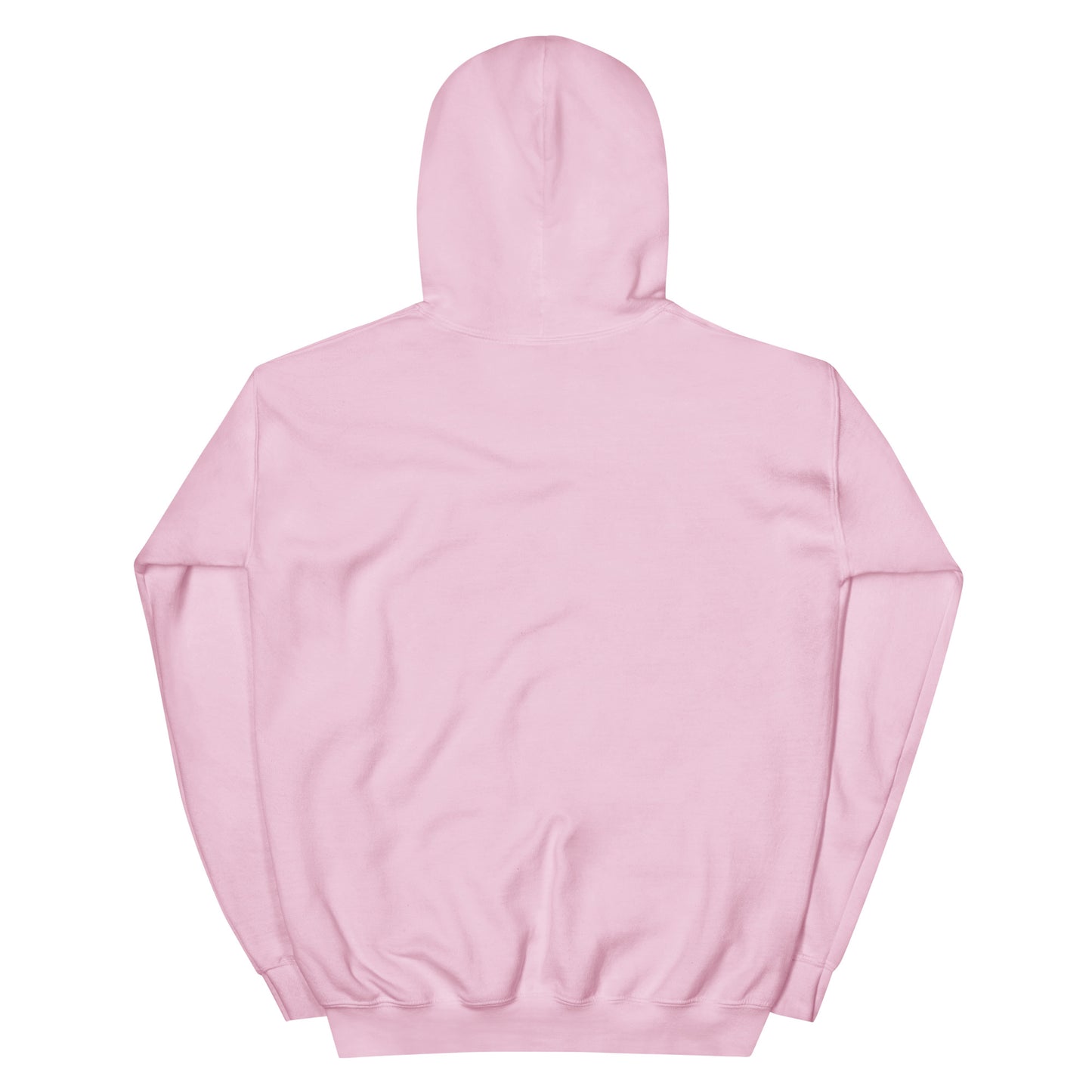 Gulfstream Capital Hoodie (Patagonia Sleeve)