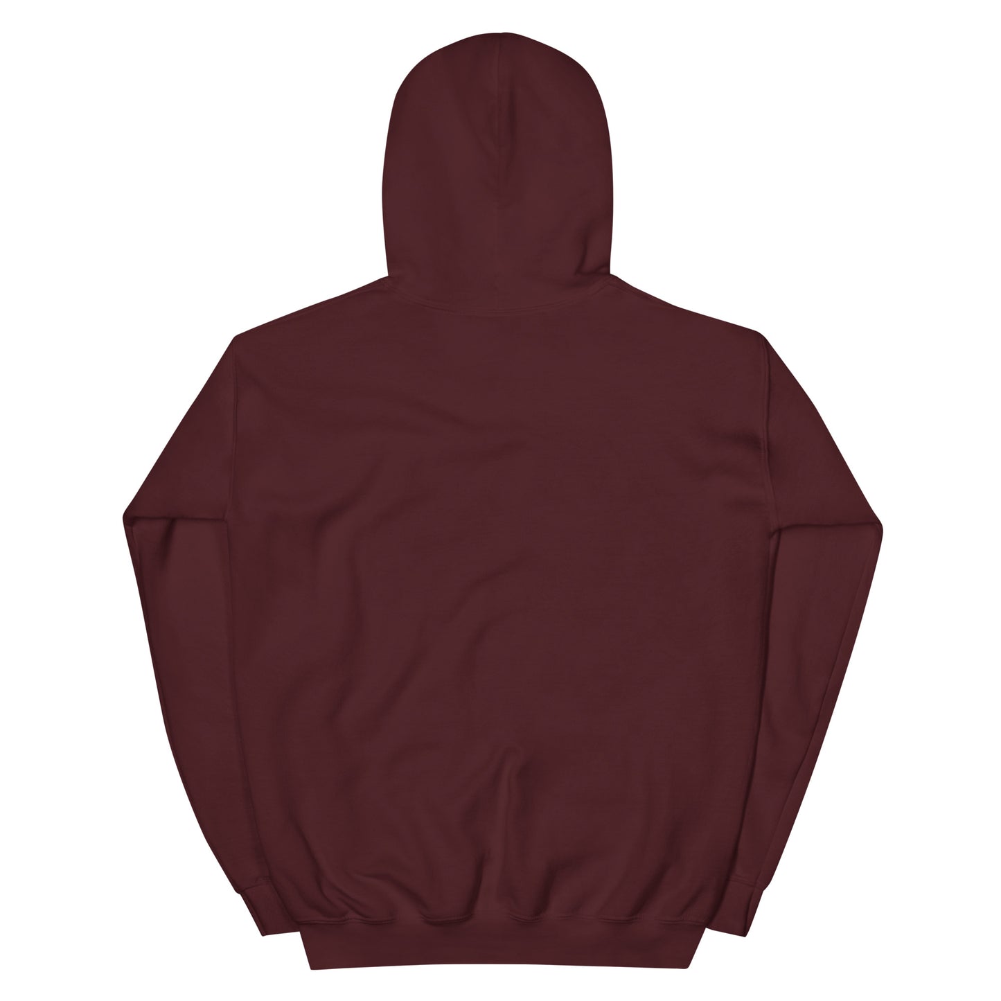 Gulfstream Capital Hoodie (Patagonia Sleeve)