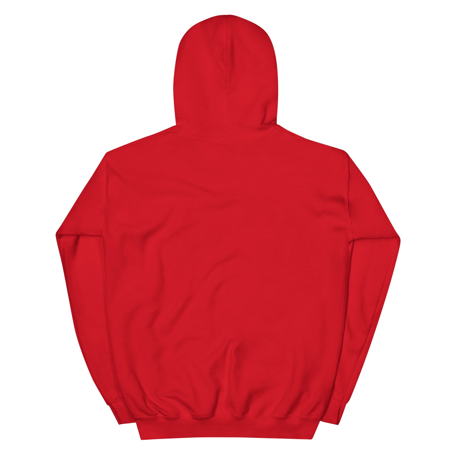 Gulfstream Capital Hoodie (Patagonia Sleeve)